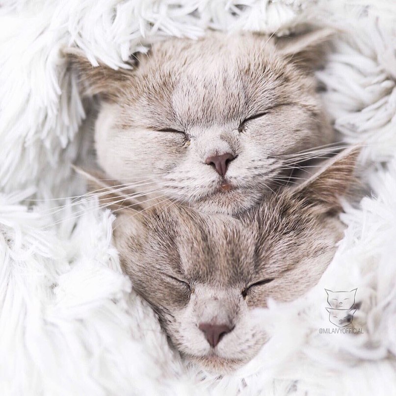 Весна, любовь. - 7