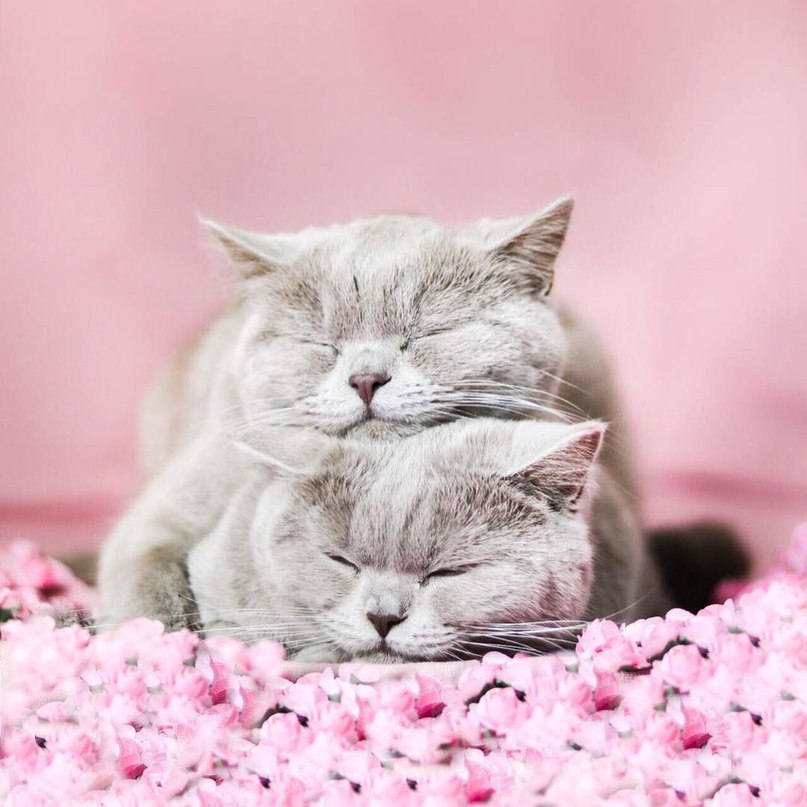 Весна, любовь. - 8