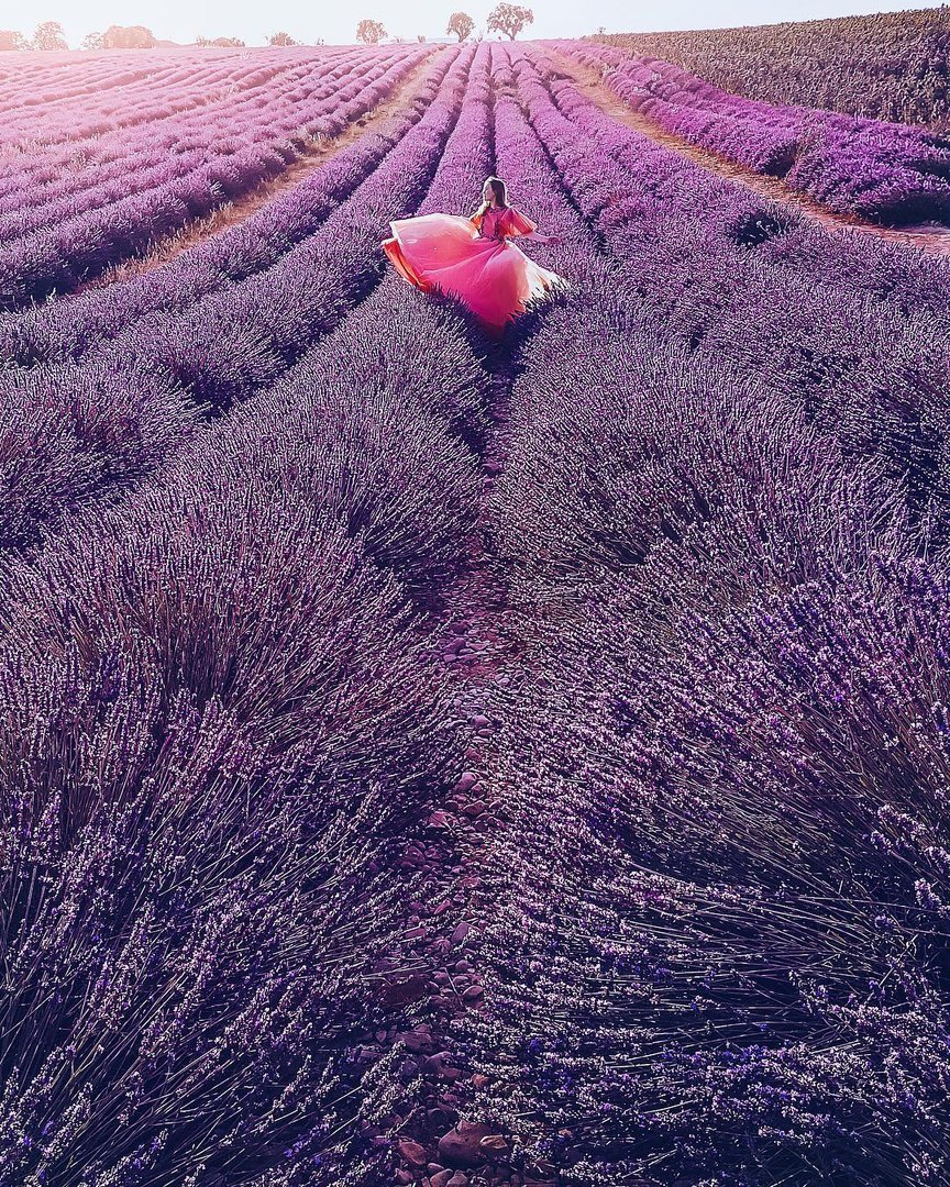 Provence, France - 7