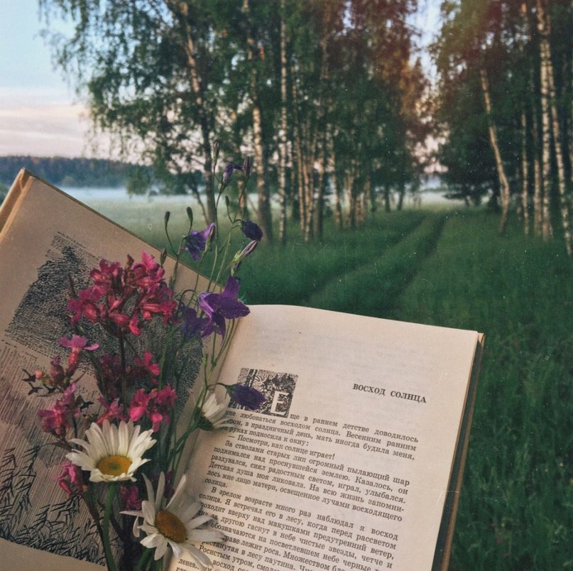 Просто дайте мне  уже лето.