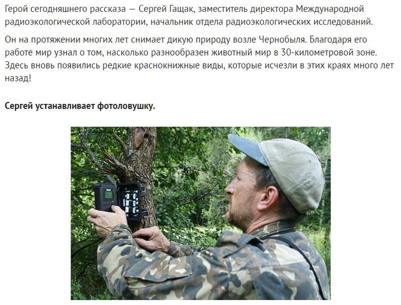 Невероятные фотографии, которые зафиксировала фотоловушка в чернобыльских лесах