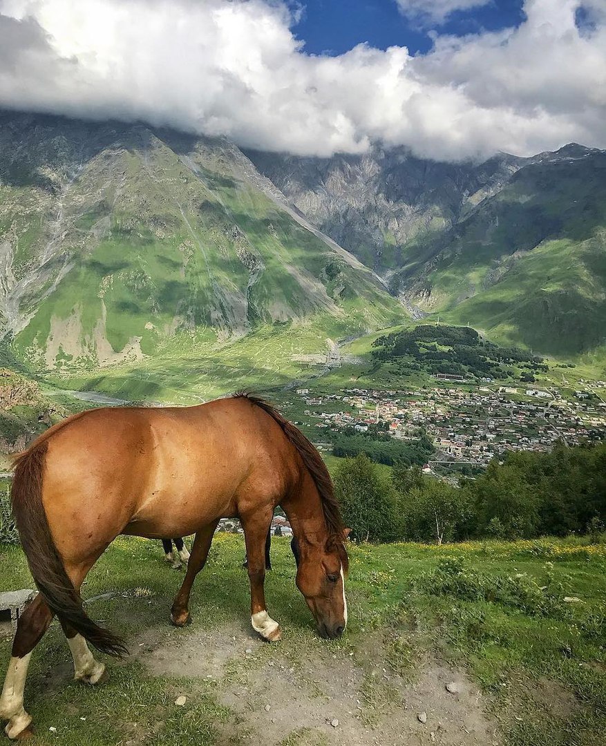 Красота Грузии