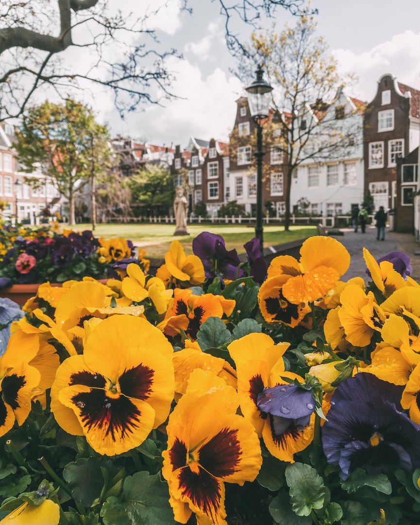 Amsterdam, The Netherlands - 6