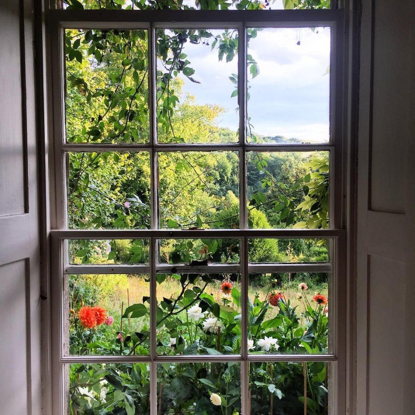 Британия как доза успокоительного - 5