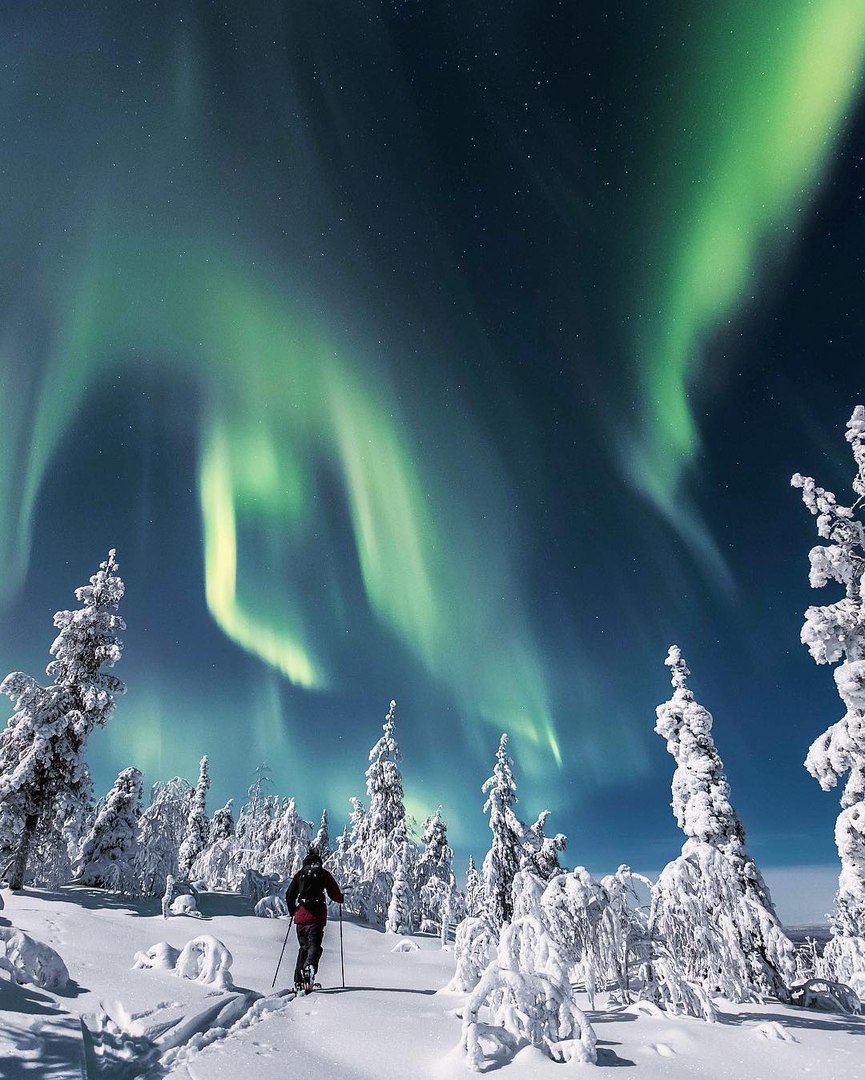 Winter fairy tale in Lapland