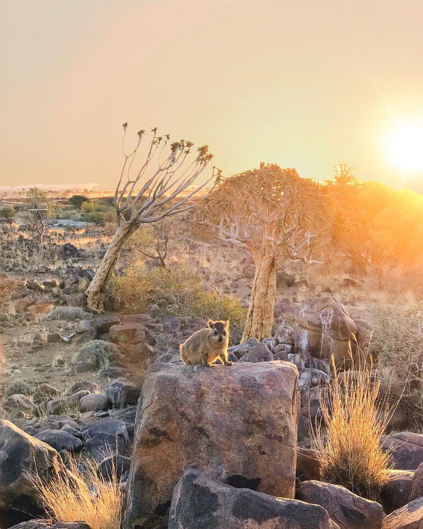 Набимия, Африка - 6