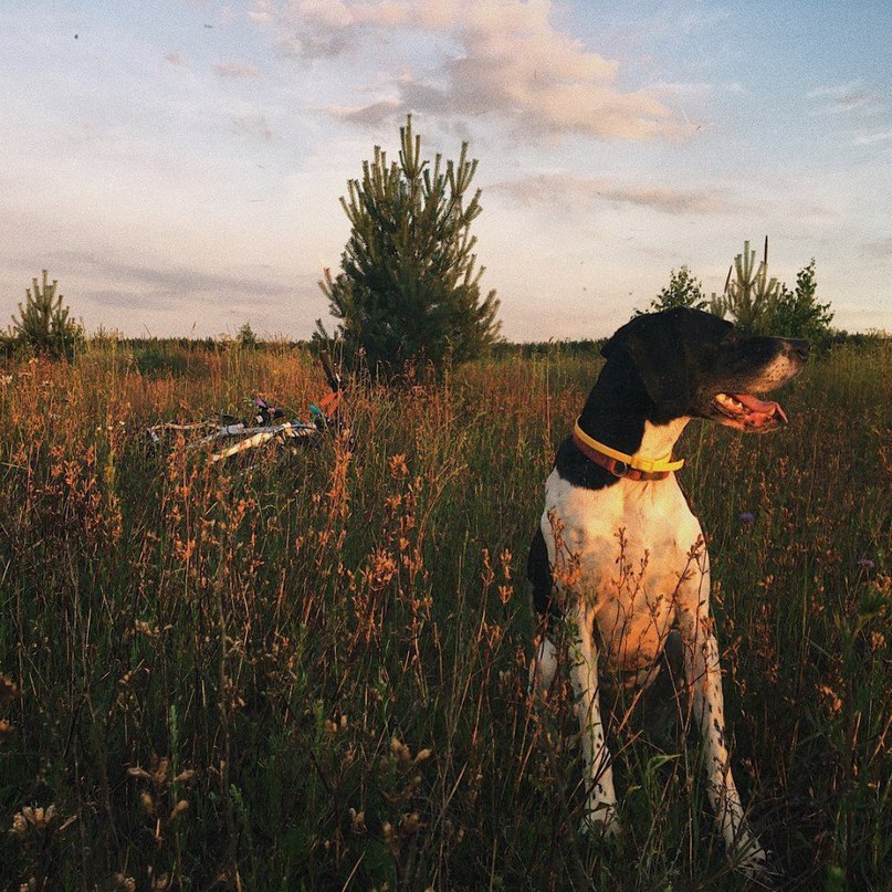 Просто дайте мне  уже лето. - 7