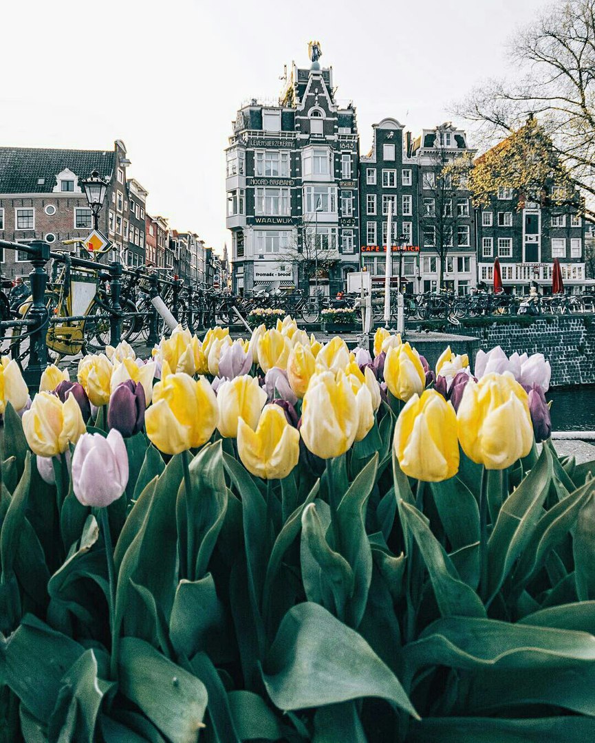 Amsterdam, The Netherlands - 7