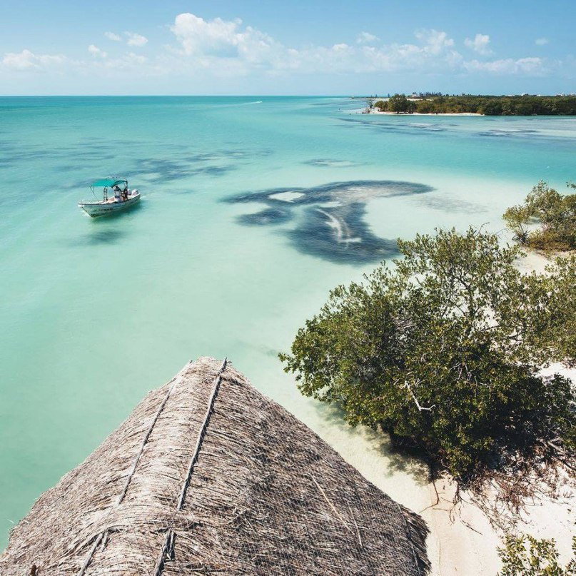 Страстных мексиканских эмоций вам в ленту! - 7