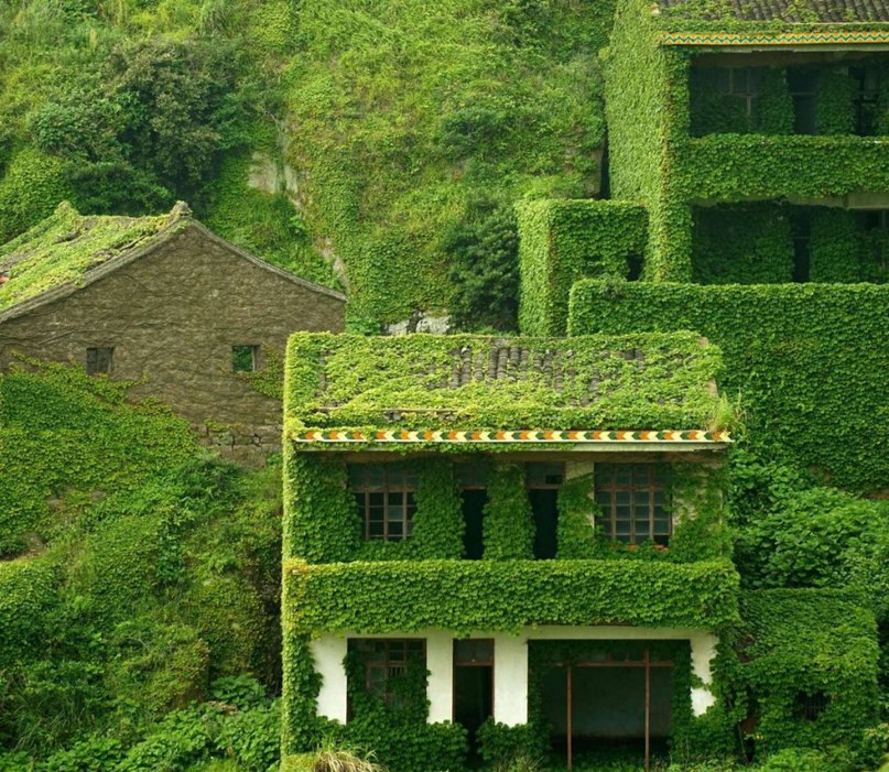 Fisherman's Chinese village - a place of harmony between man and nature - 8