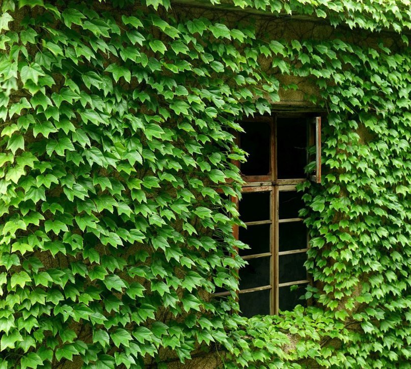 Fisherman's Chinese village - a place of harmony between man and nature