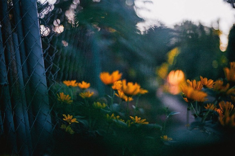 Май - самый прекрасный месяц в году! - 7