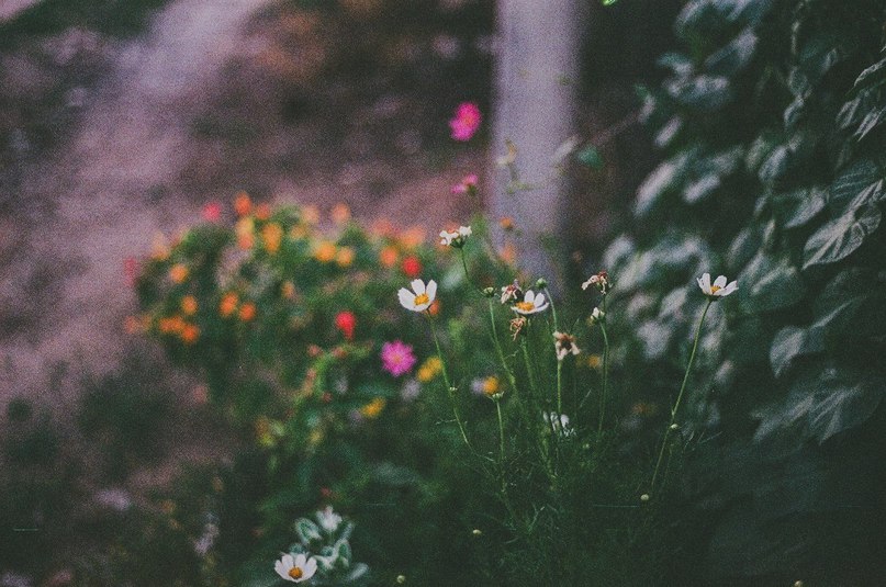 Май - самый прекрасный месяц в году! - 6