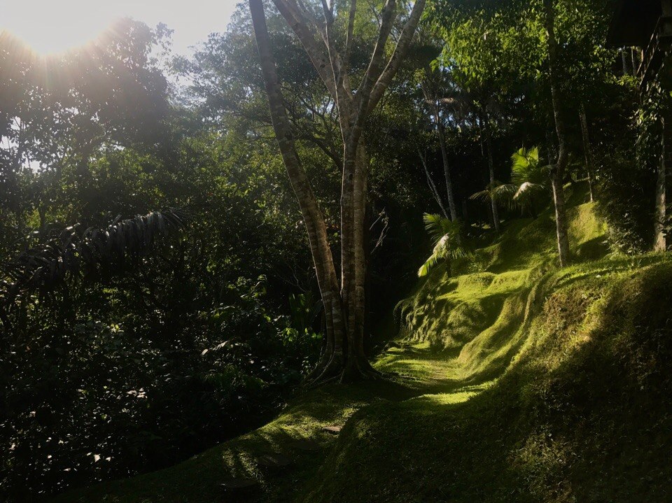 Бали, Убуд - 5