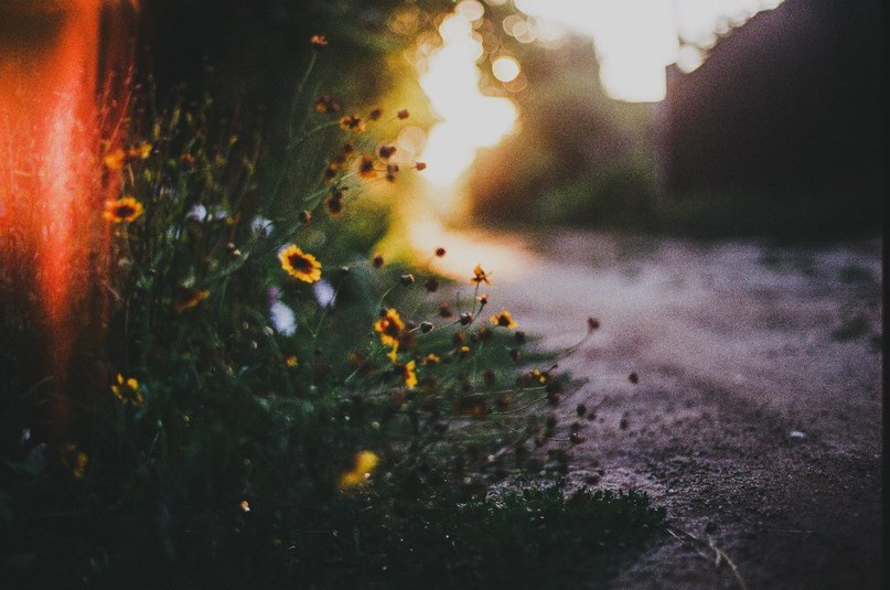 Май - самый прекрасный месяц в году! - 5