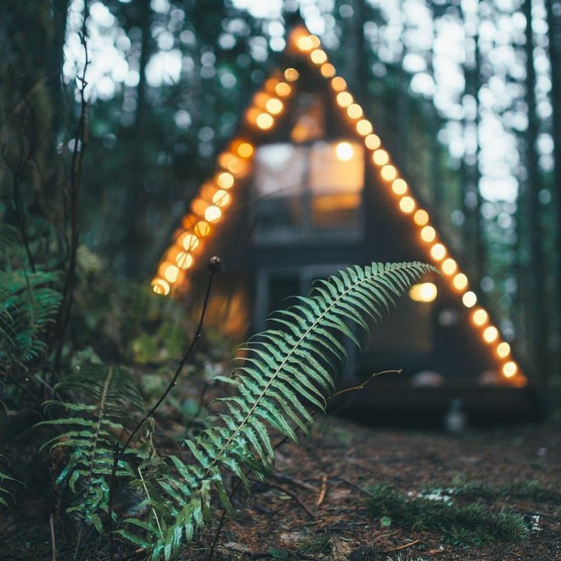 Маленькая мечта интроверта. - 6