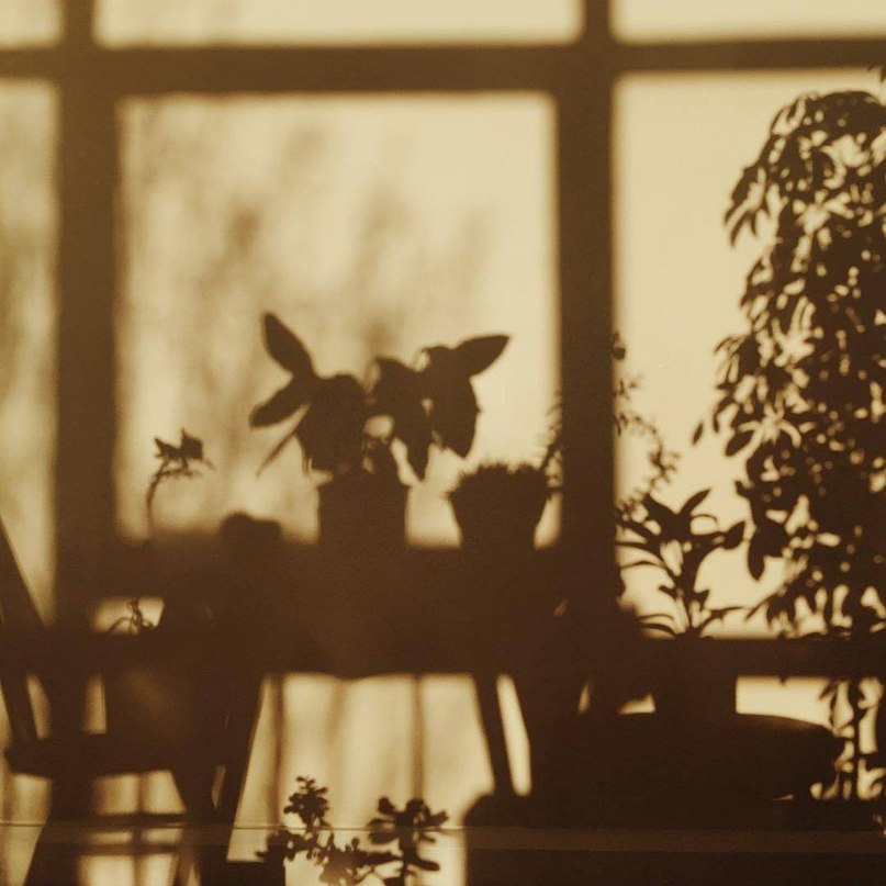 Магия света - 7