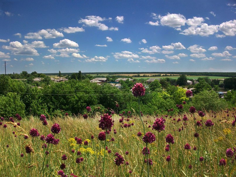 Як часто хочеться виїхати в таке місце ... - 6