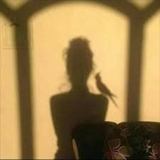 Магия света - 8