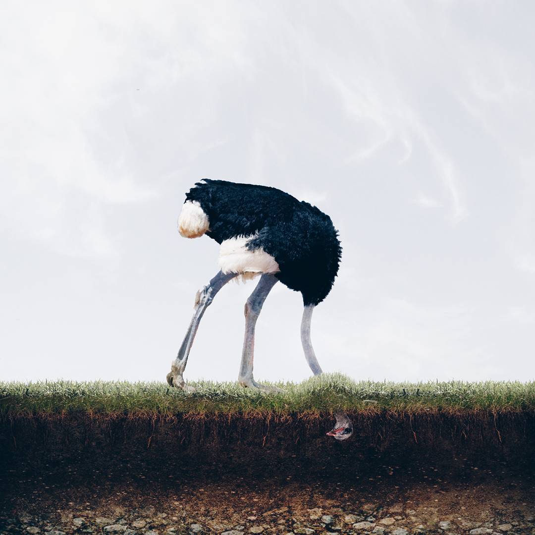 Magic by Luisa Azevedo - 5