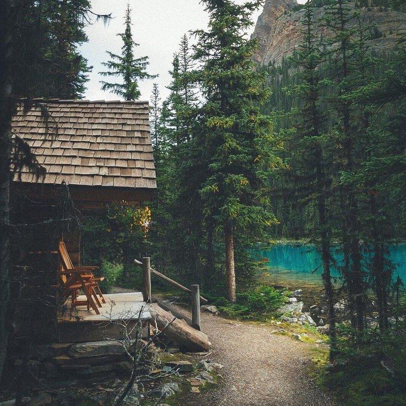 Маленькая мечта интроверта. - 7