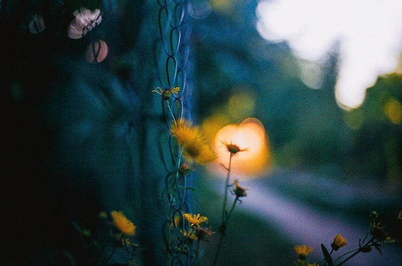 Май - самый прекрасный месяц в году! - 8