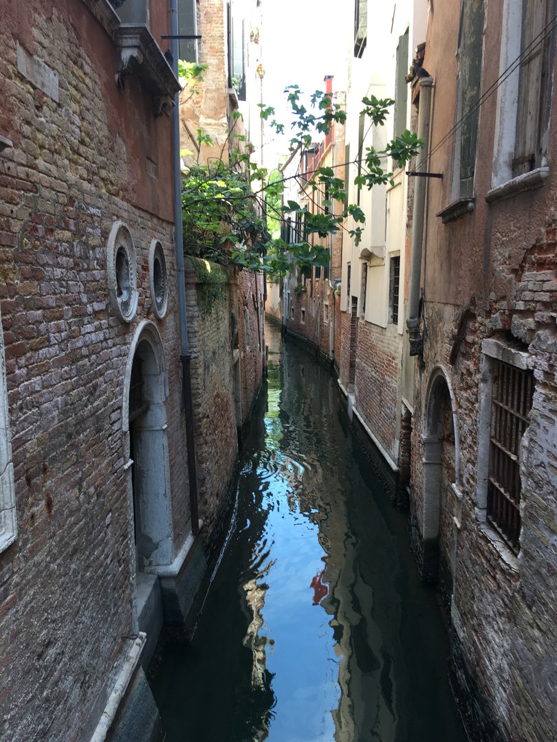 Улочки Венеции
 
Венеция неподражаема и чтобы это ощутить, надо в ней заблудиться . Сделать это довольно легко - это город - лабиринт. Здесь нет ни одной прямой улочки и обычных указателей. Заглянув в очередной переулочек, ты не увидишь его конца, а  - 5