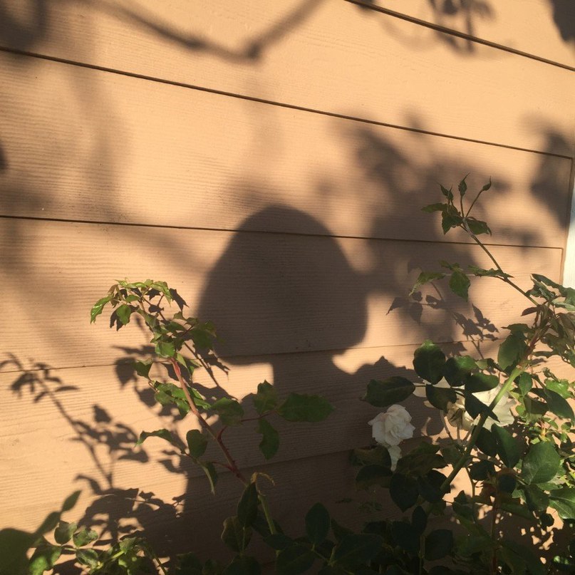 Магия света - 5