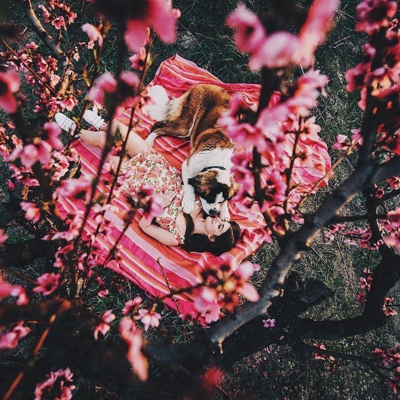 Незабываемые крымские просторы - 8