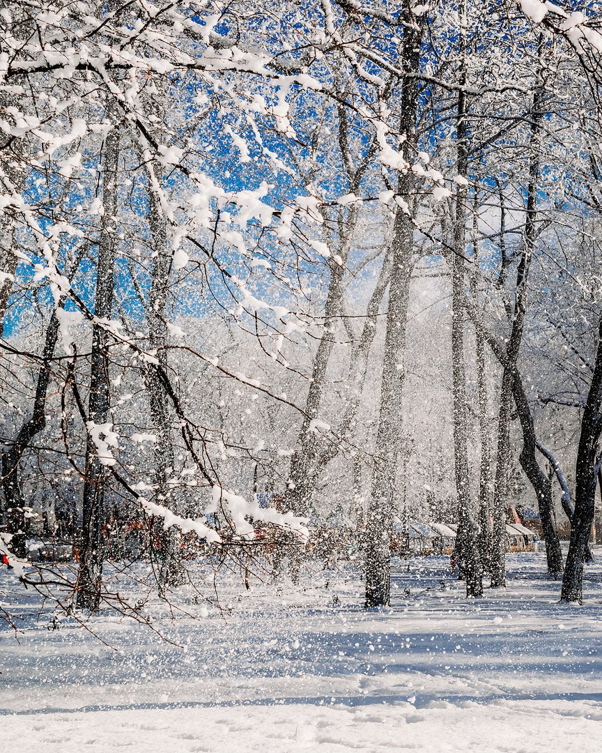Санкт-Петербург - 8