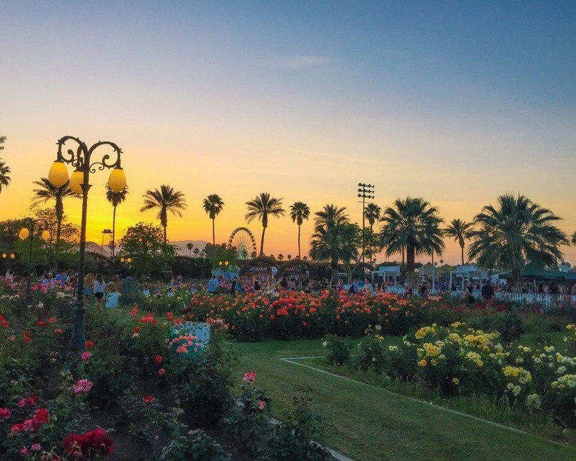 Коачелла выглядит как настоящий рай! - 8