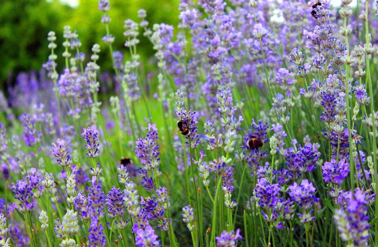 Красота природы. - 6