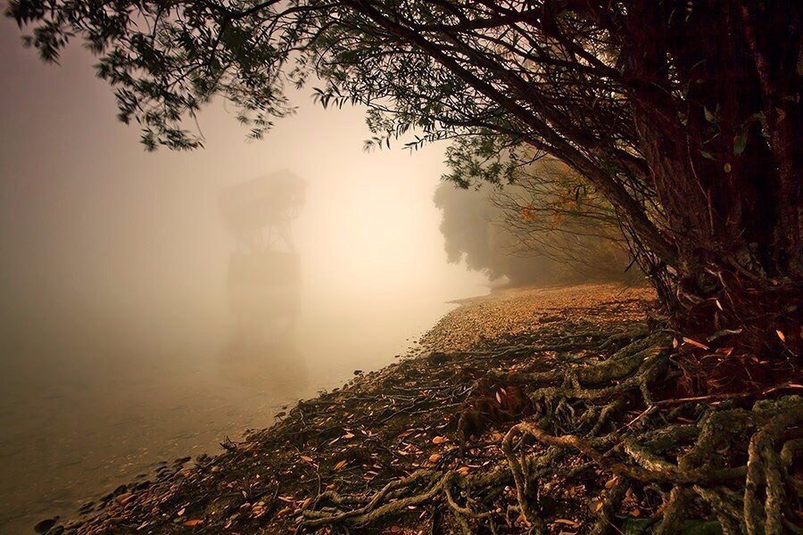 The soul requires silence - 6