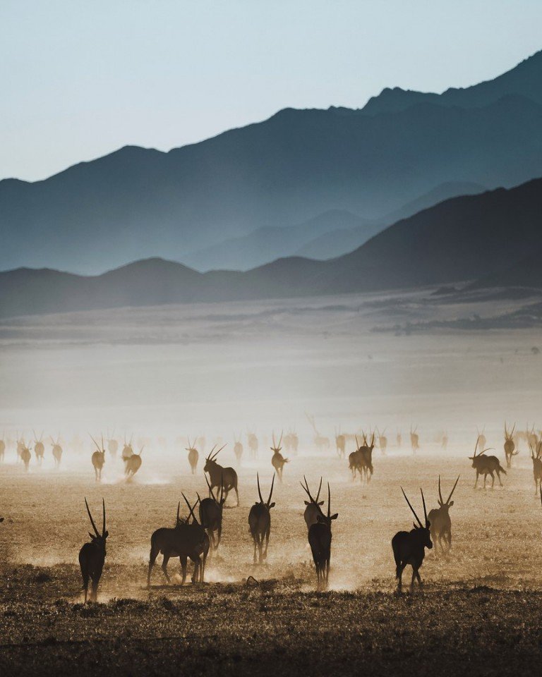 Минималистичная красота Африки