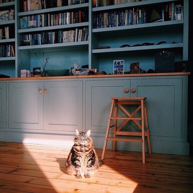 Солнечный свет - это источник уюта - 8