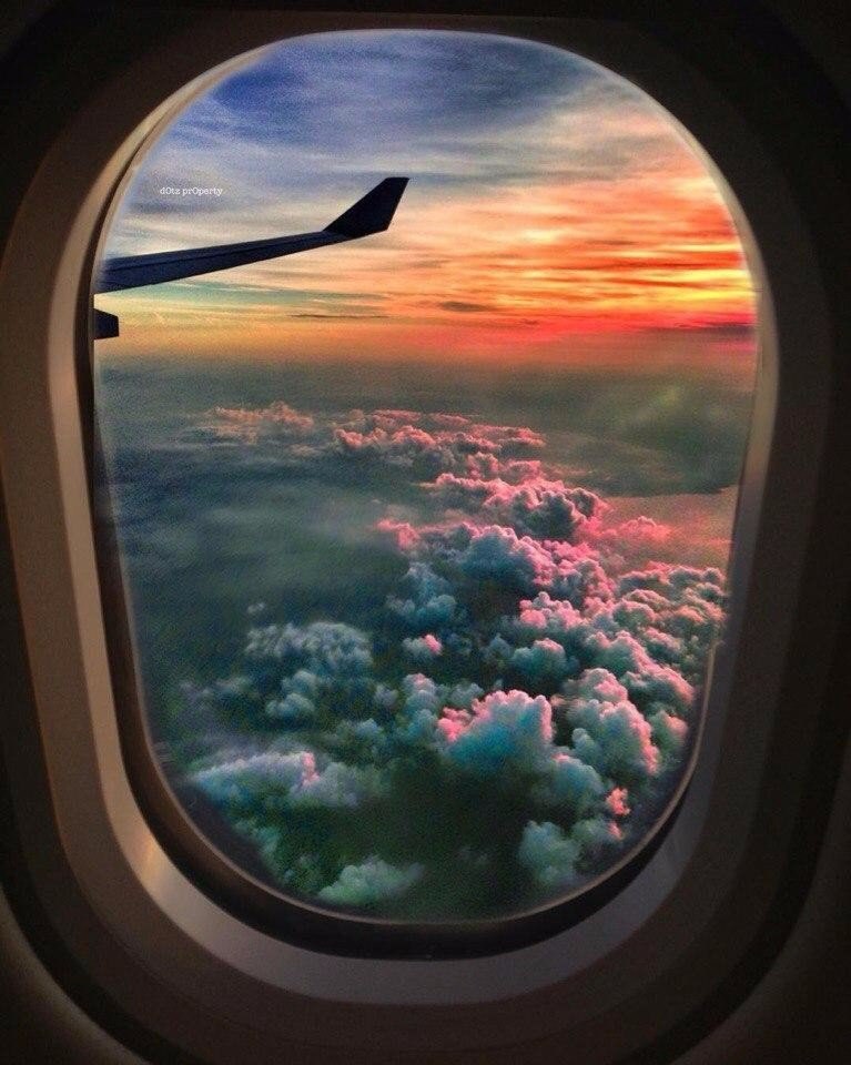 Лучший вид из окна - 5