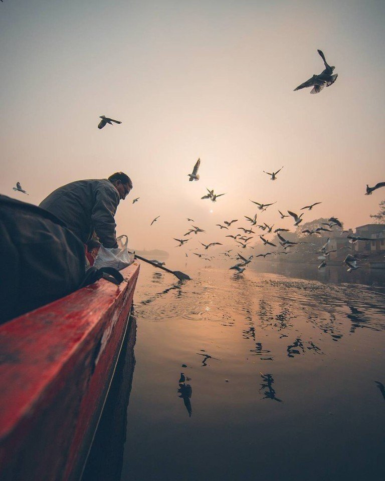 Індія - це загадка і чарівність - 7