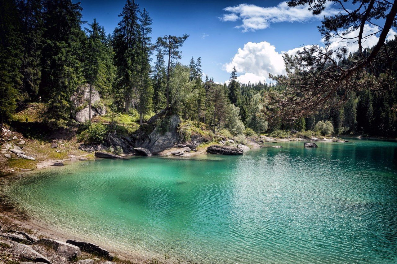 Мечта - отправиться ловить бабочек в Швейцарии - 6