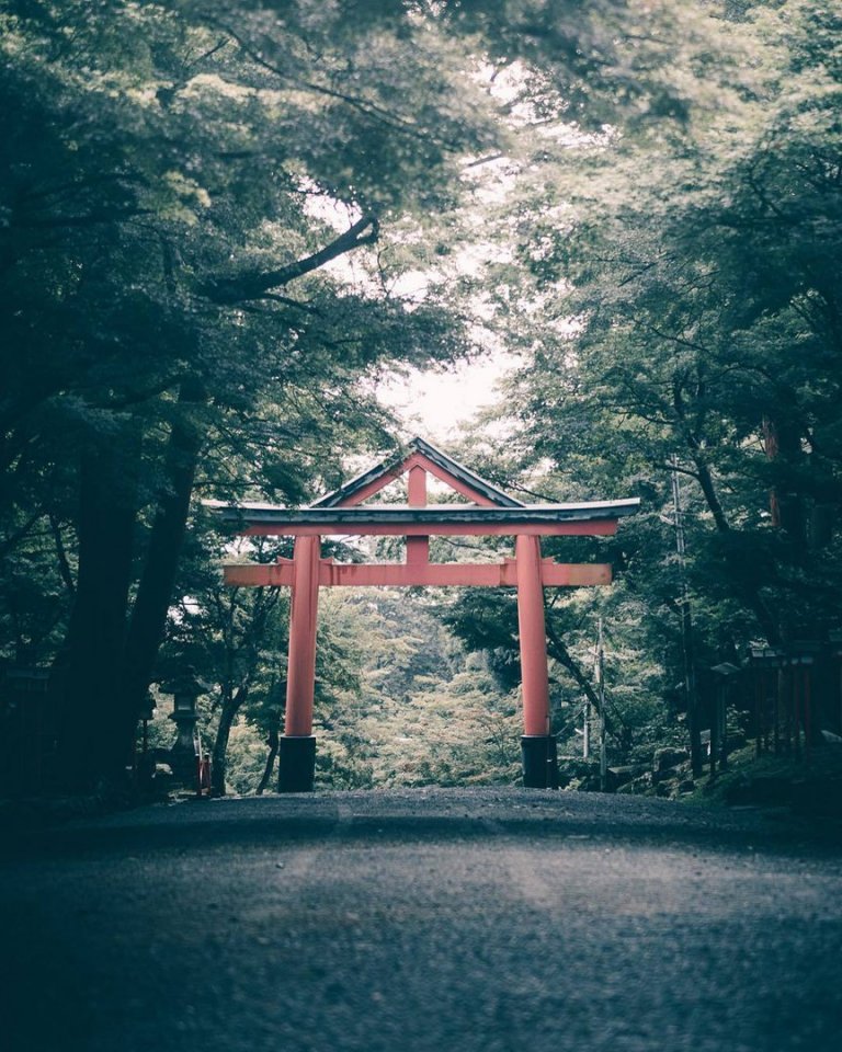 Mysterious Japanese beauty - 5