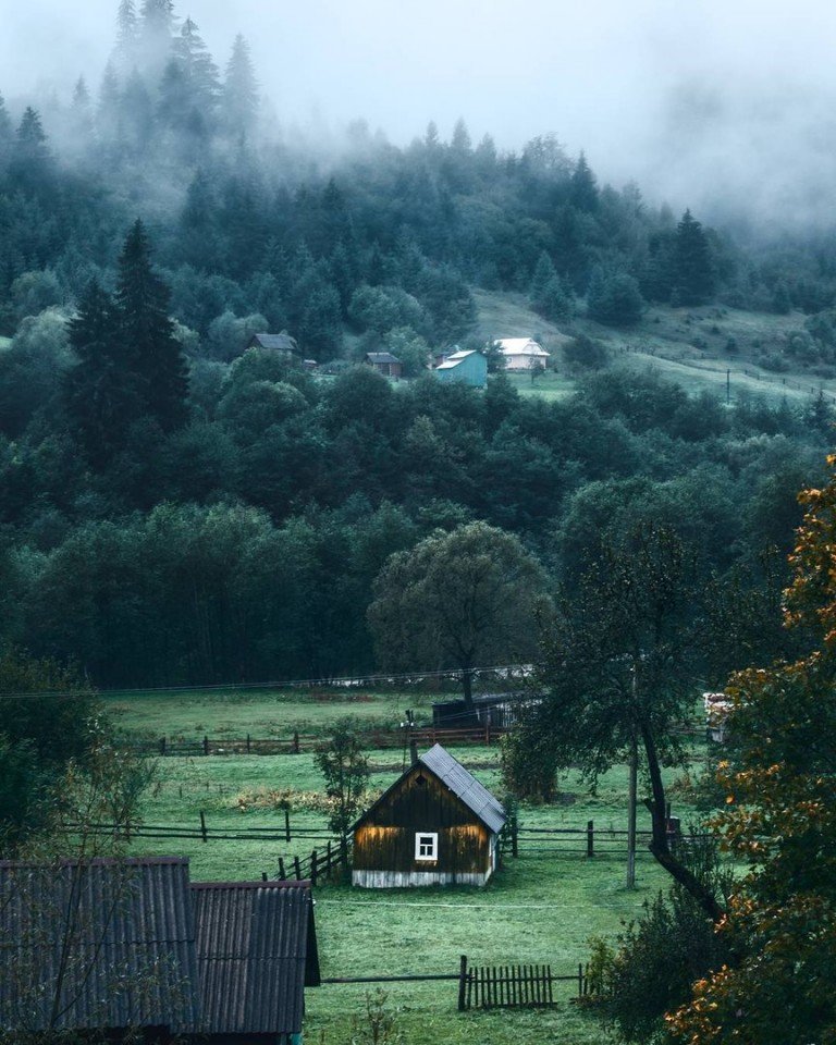 The Carpathian expanses - 5