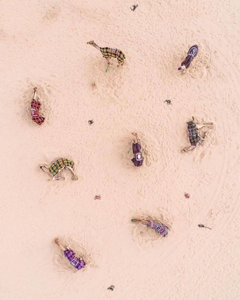 Такие Арабские Эмираты вы еще не видели