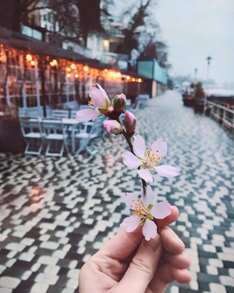 A little Crimean heat - 6