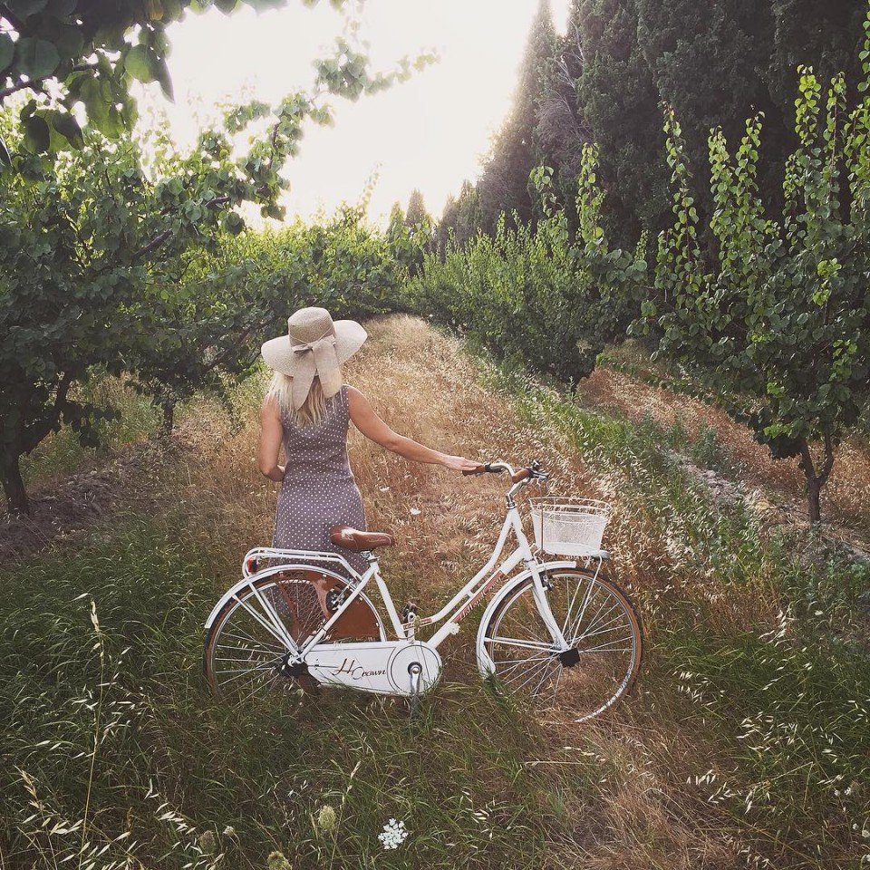 Утро во французской провинции - 5