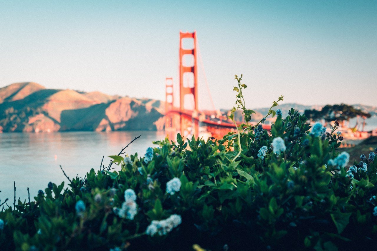 Уехать бы на летние каникулы в Калифорнию... Но завтра надо на работу. - 5