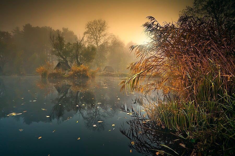 The soul requires silence - 7