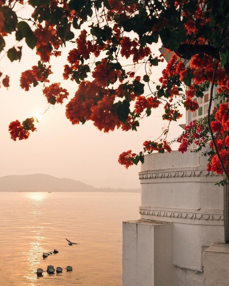 Очаровательная атмосфера Индии - 9