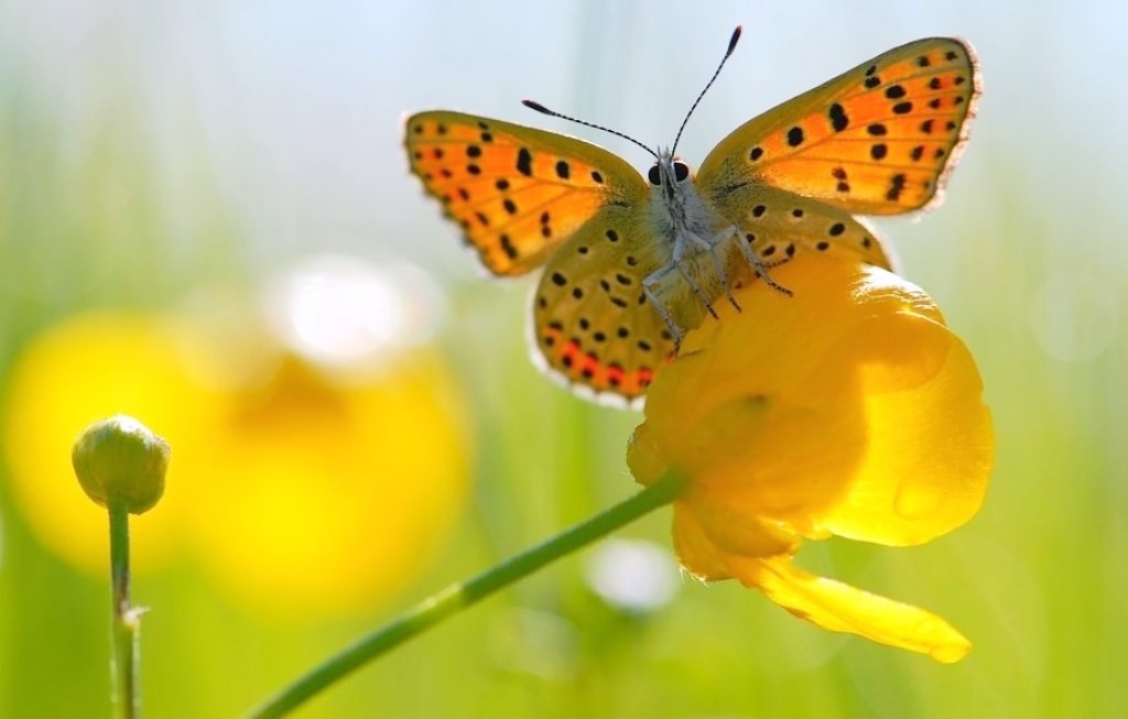 Красота природы. - 5