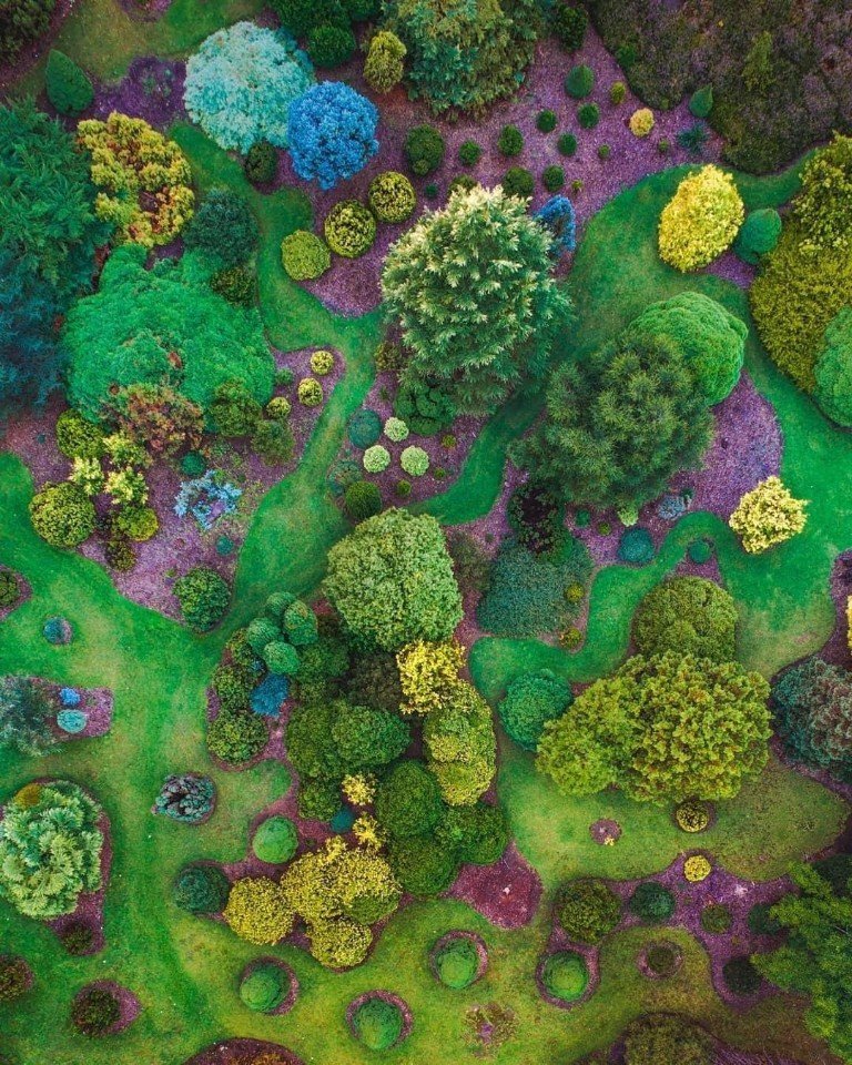 Австралия - это кусочек сказки в реальном мире - 9