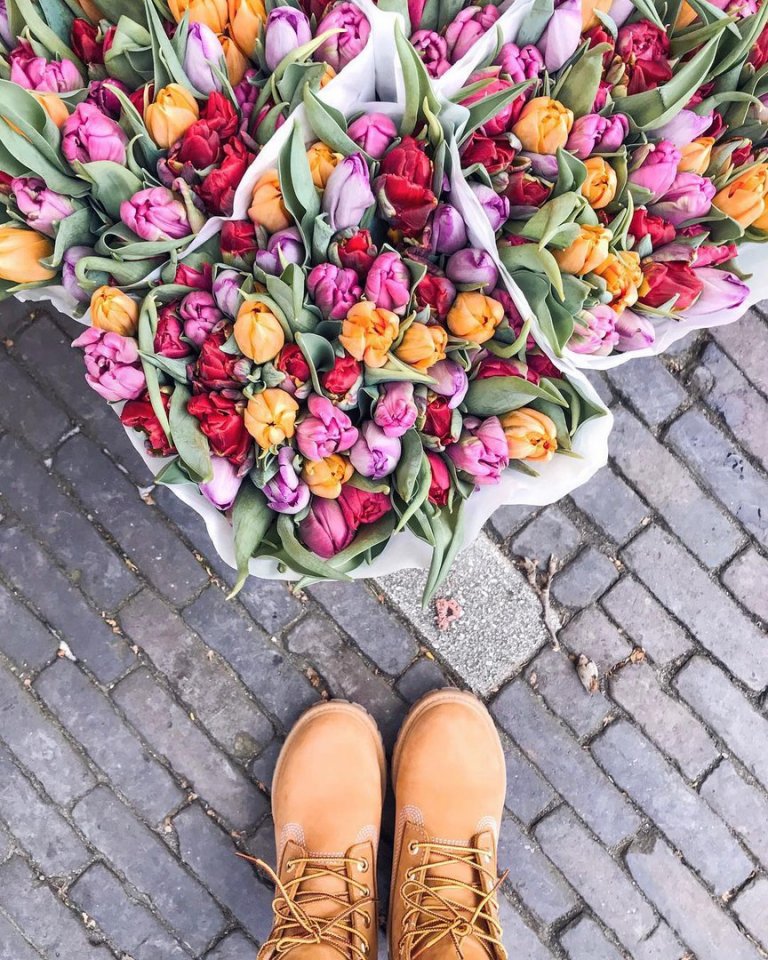 Яркие Нидерланды - 9