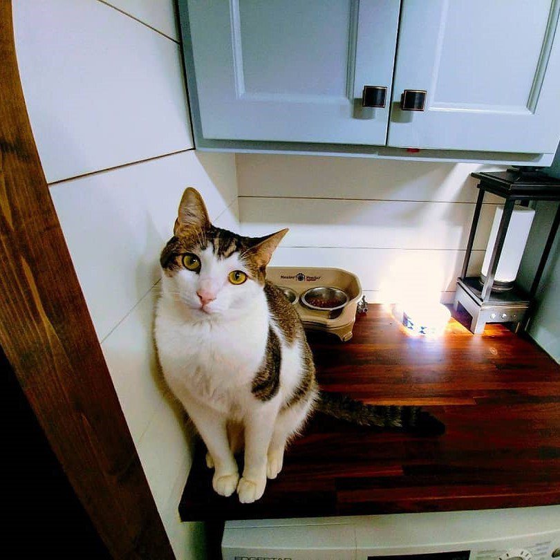 Моя мечта - иметь вот такой домик - 8